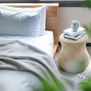 https://pufuka-shibakoen.alltokyohotels.com